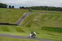 Lower Group White Bikes